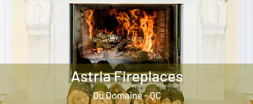 Astria Fireplaces Du Domaine - QC