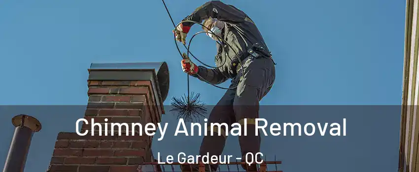 Chimney Animal Removal Le Gardeur - QC