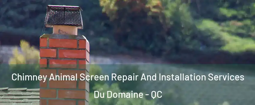Chimney Animal Screen Repair And Installation Services Du Domaine - QC