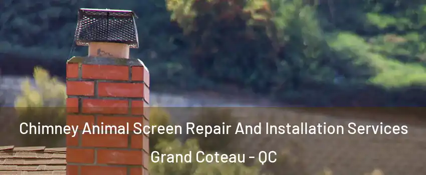 Chimney Animal Screen Repair And Installation Services Grand Coteau - QC