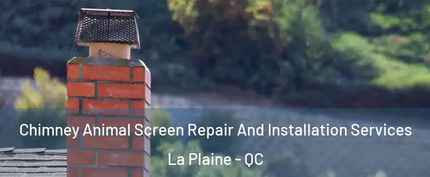 Chimney Animal Screen Repair And Installation Services La Plaine - QC