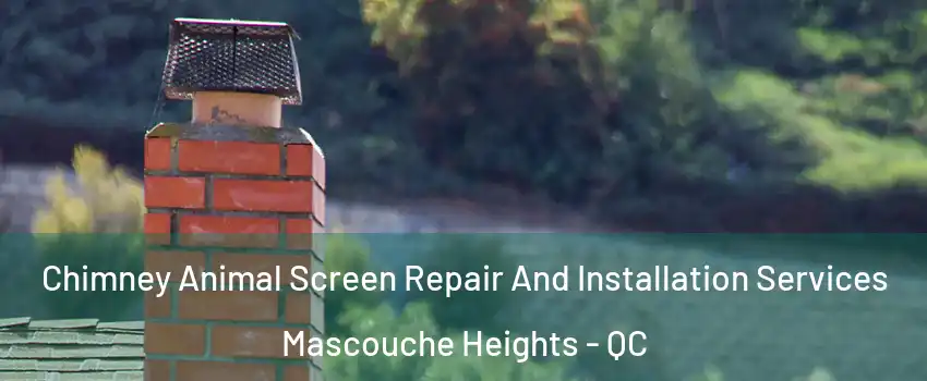  Chimney Animal Screen Repair And Installation Services Mascouche Heights - QC