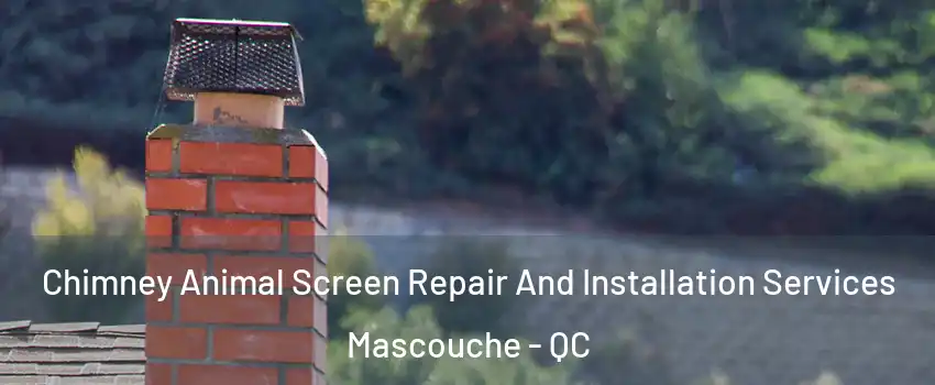  Chimney Animal Screen Repair And Installation Services Mascouche - QC