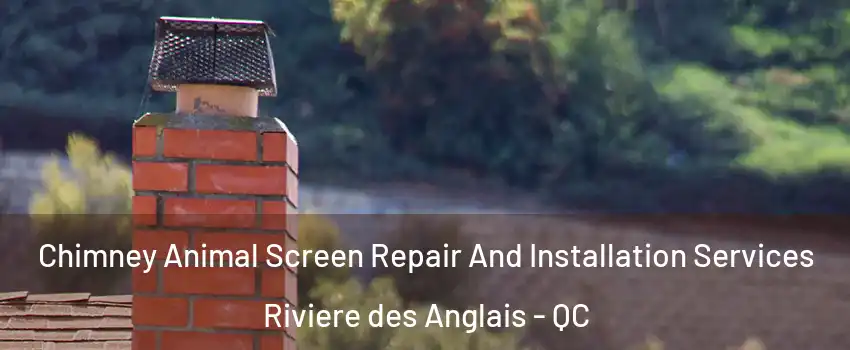 Chimney Animal Screen Repair And Installation Services Riviere des Anglais - QC