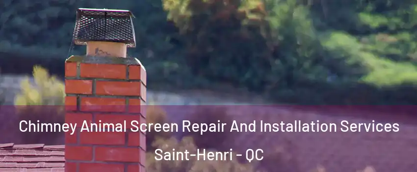  Chimney Animal Screen Repair And Installation Services Saint-Henri - QC