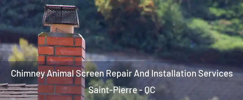  Chimney Animal Screen Repair And Installation Services Saint-Pierre - QC