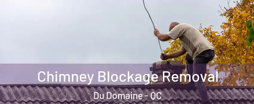 Chimney Blockage Removal Du Domaine - QC