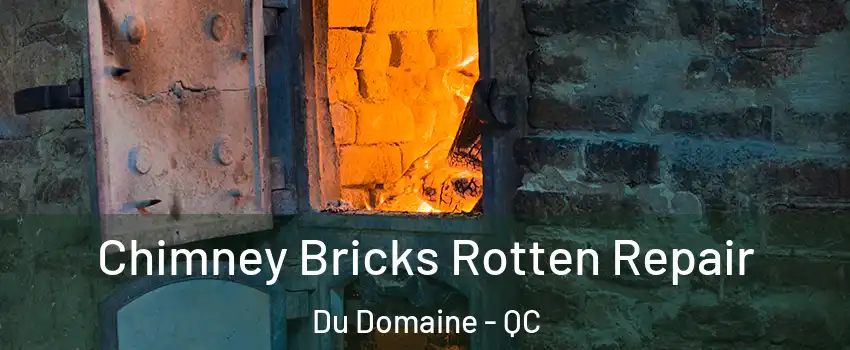 Chimney Bricks Rotten Repair Du Domaine - QC