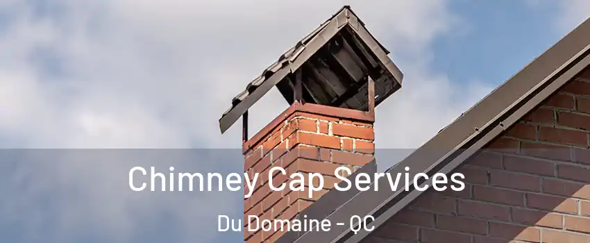 Chimney Cap Services Du Domaine - QC