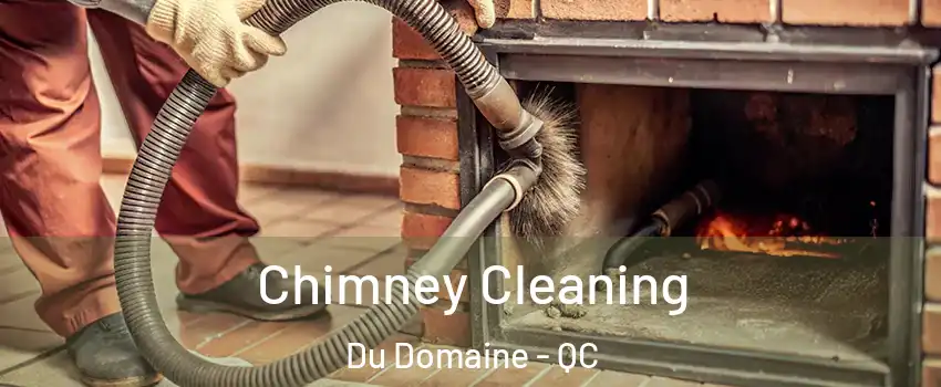  Chimney Cleaning Du Domaine - QC