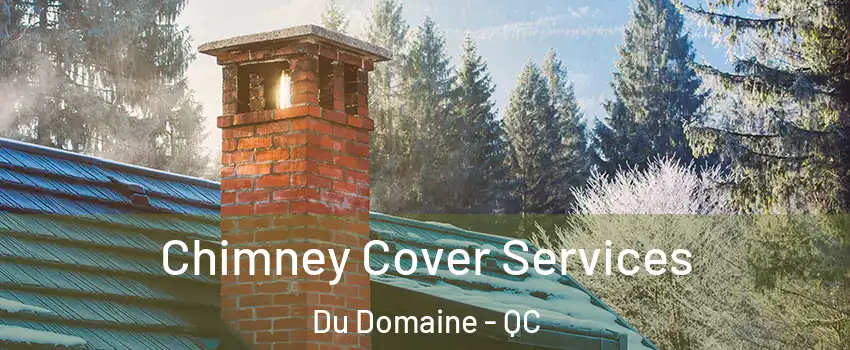 Chimney Cover Services Du Domaine - QC