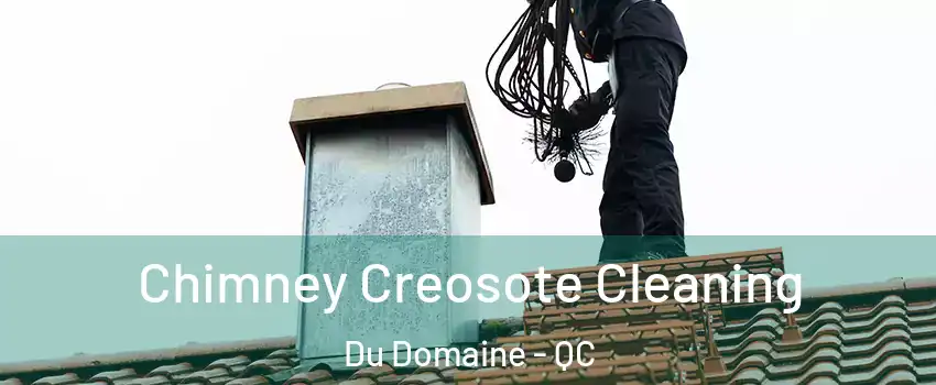 Chimney Creosote Cleaning Du Domaine - QC
