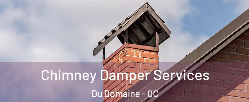 Chimney Damper Services Du Domaine - QC