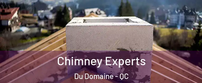 Chimney Experts Du Domaine - QC