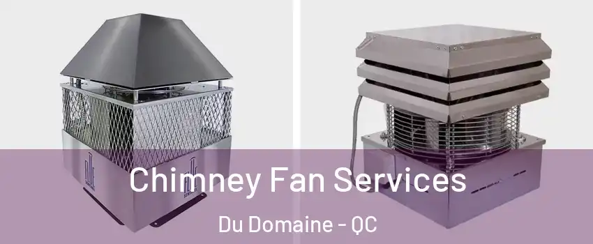Chimney Fan Services Du Domaine - QC