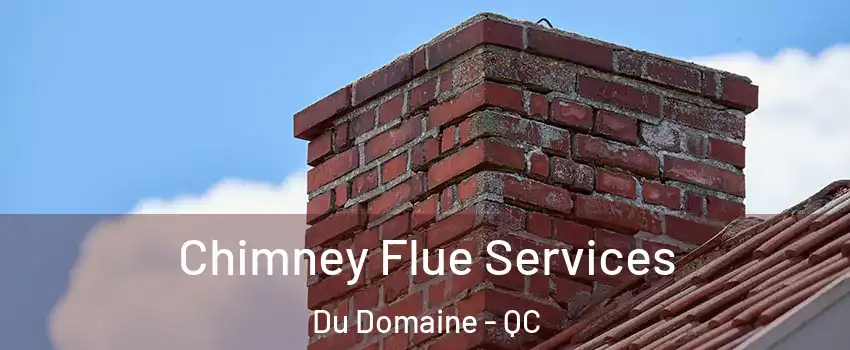 Chimney Flue Services Du Domaine - QC