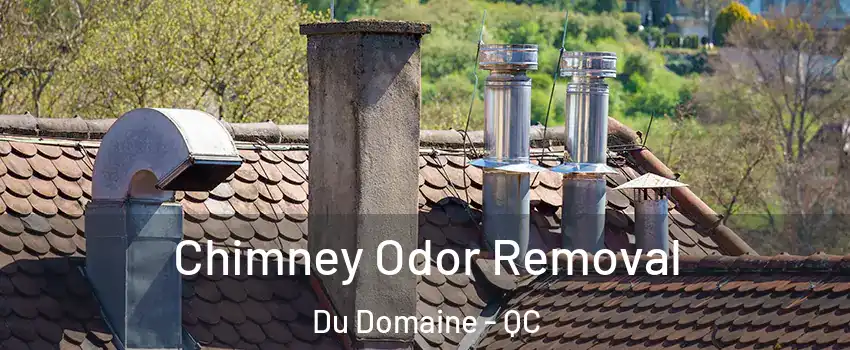 Chimney Odor Removal Du Domaine - QC