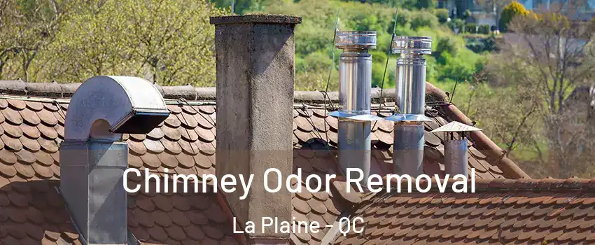  Chimney Odor Removal La Plaine - QC