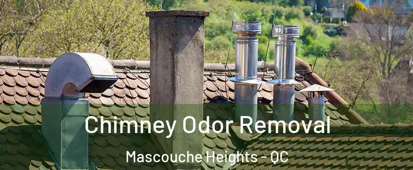 Chimney Odor Removal Mascouche Heights - QC