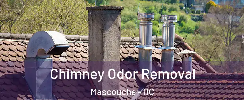  Chimney Odor Removal Mascouche - QC