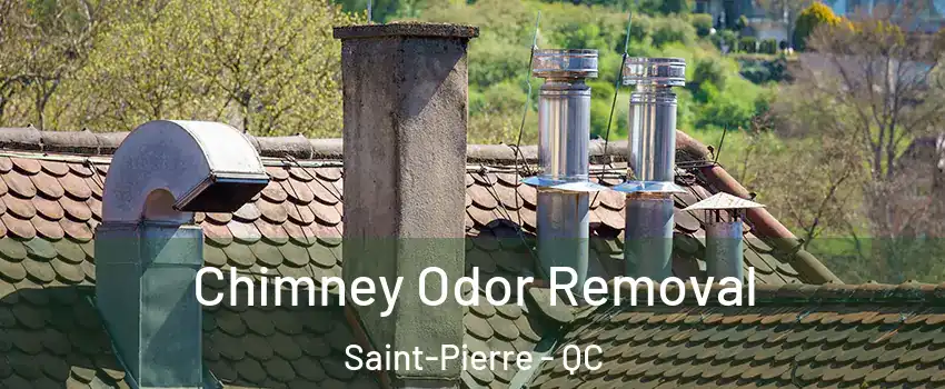 Chimney Odor Removal Saint-Pierre - QC