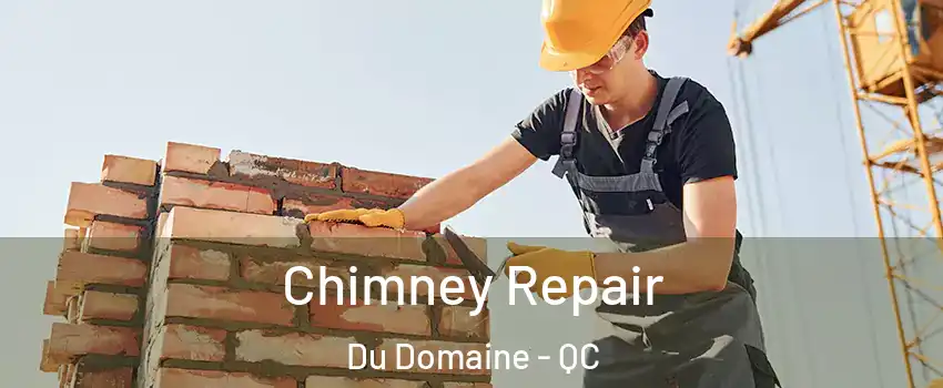 Chimney Repair Du Domaine - QC