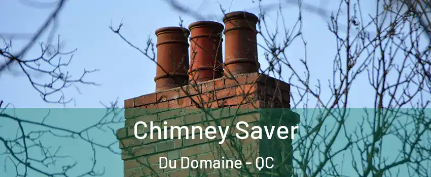 Chimney Saver Du Domaine - QC