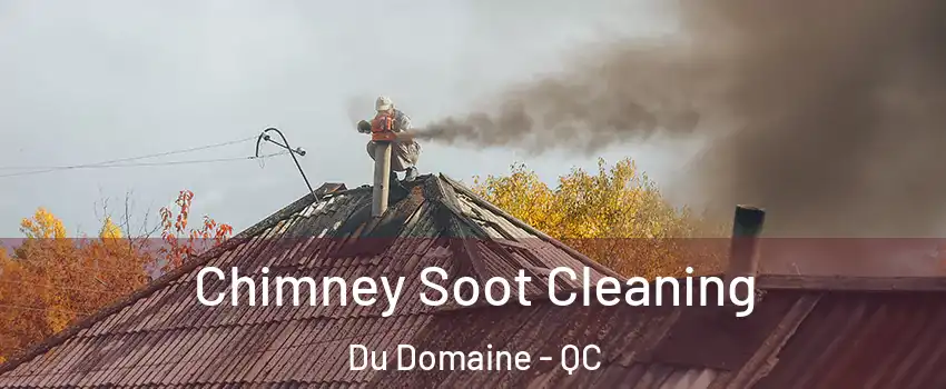 Chimney Soot Cleaning Du Domaine - QC