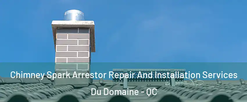  Chimney Spark Arrestor Repair And Installation Services Du Domaine - QC