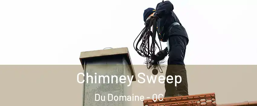 Chimney Sweep Du Domaine - QC