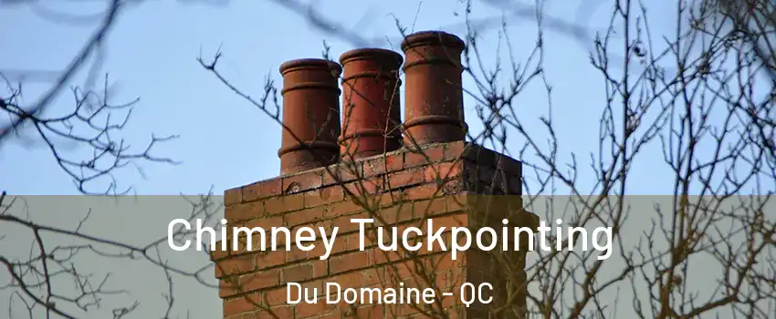 Chimney Tuckpointing Du Domaine - QC