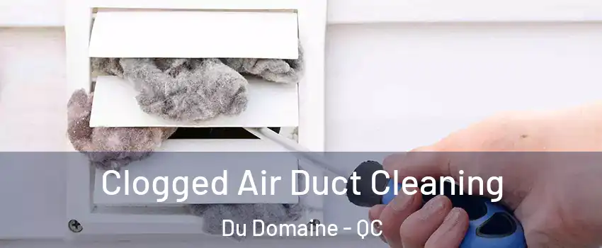 Clogged Air Duct Cleaning Du Domaine - QC