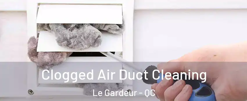 Clogged Air Duct Cleaning Le Gardeur - QC