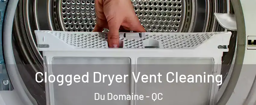 Clogged Dryer Vent Cleaning Du Domaine - QC
