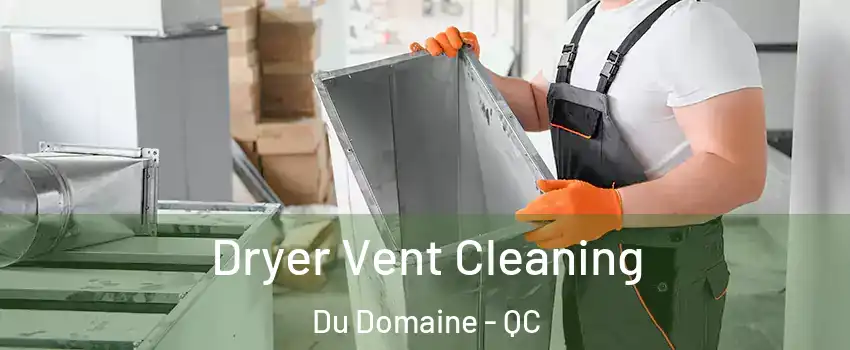 Dryer Vent Cleaning Du Domaine - QC