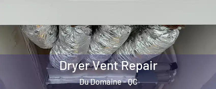 Dryer Vent Repair Du Domaine - QC