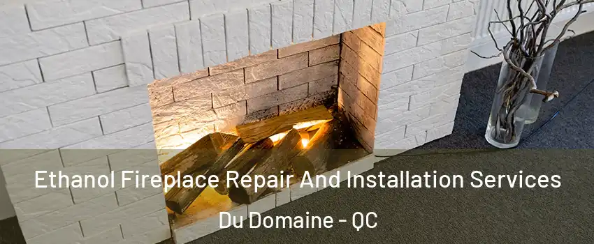 Ethanol Fireplace Repair And Installation Services Du Domaine - QC