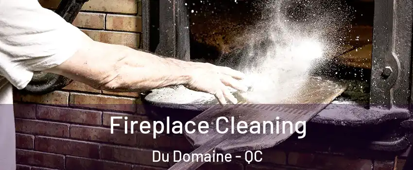 Fireplace Cleaning Du Domaine - QC