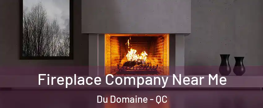 Fireplace Company Near Me Du Domaine - QC