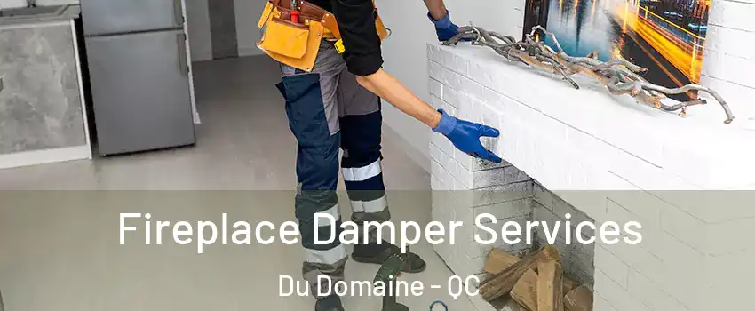 Fireplace Damper Services Du Domaine - QC