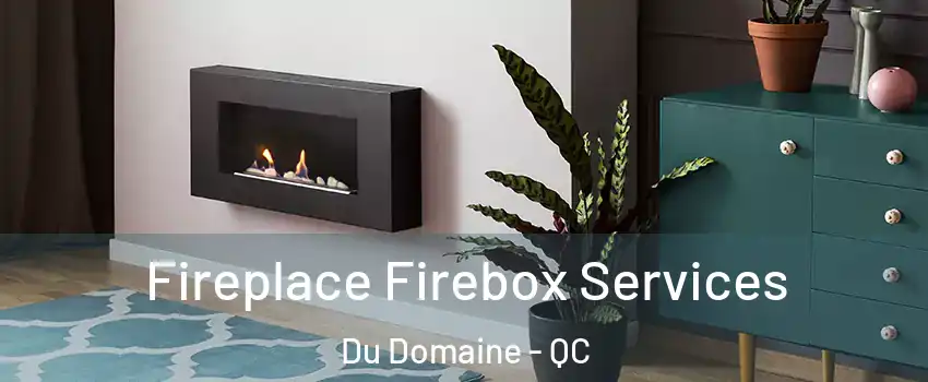 Fireplace Firebox Services Du Domaine - QC