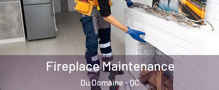 Fireplace Maintenance Du Domaine - QC