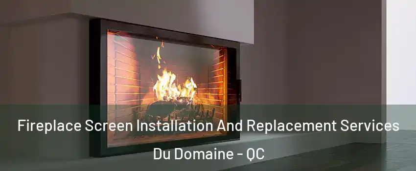 Fireplace Screen Installation And Replacement Services Du Domaine - QC