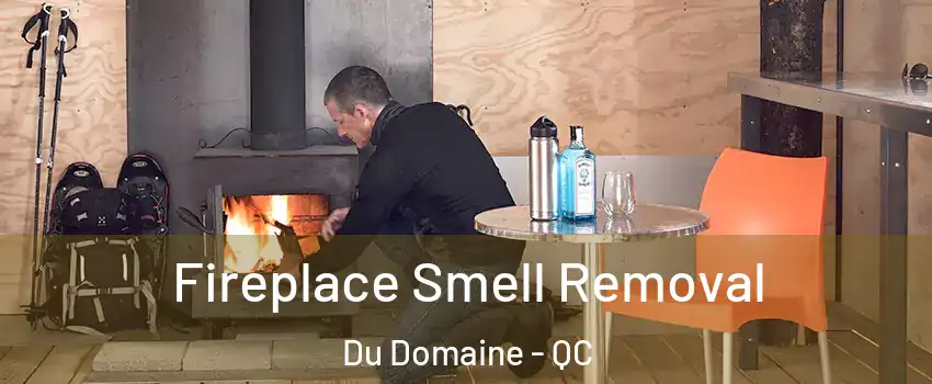 Fireplace Smell Removal Du Domaine - QC