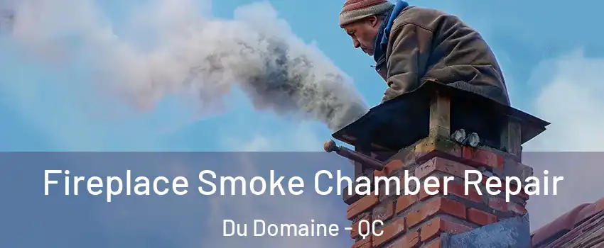  Fireplace Smoke Chamber Repair Du Domaine - QC