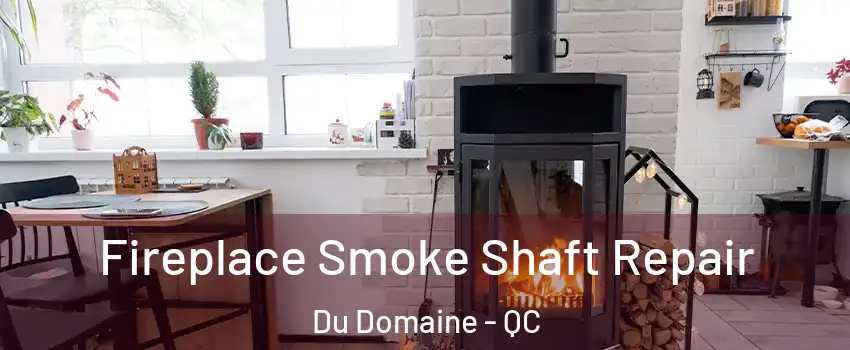  Fireplace Smoke Shaft Repair Du Domaine - QC