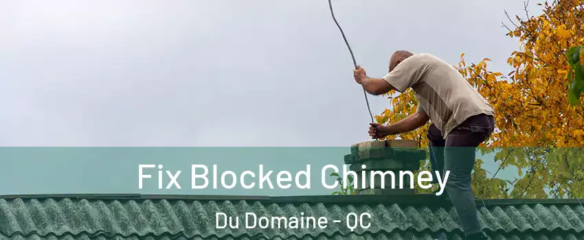 Fix Blocked Chimney Du Domaine - QC