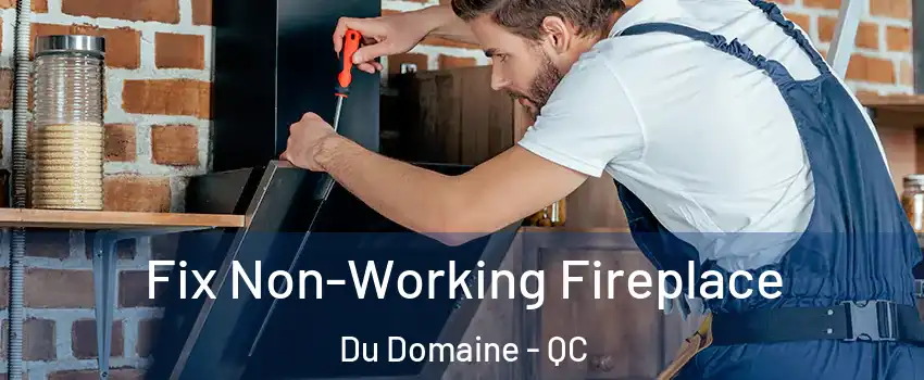 Fix Non-Working Fireplace Du Domaine - QC