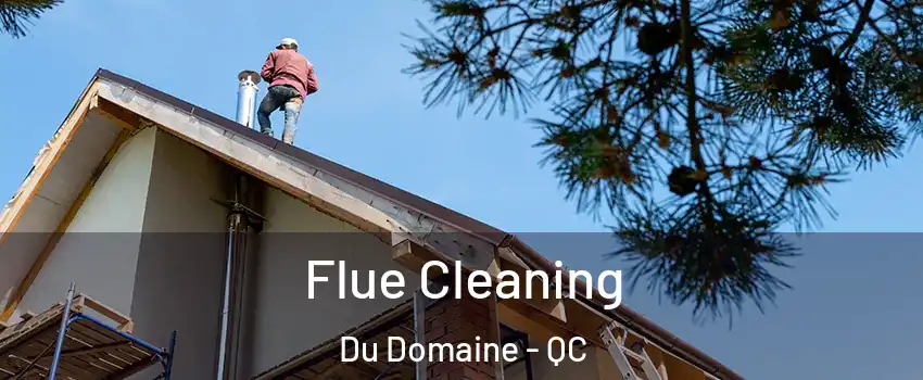 Flue Cleaning Du Domaine - QC