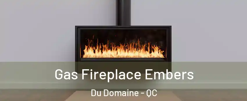 Gas Fireplace Embers Du Domaine - QC